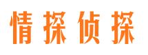 临高市调查公司